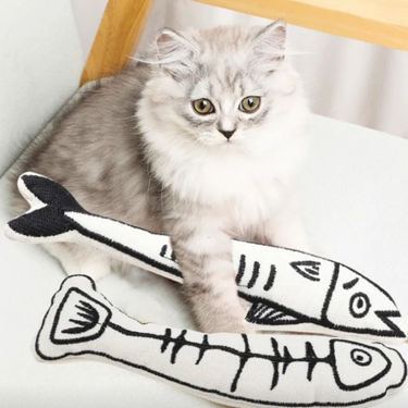 Poissons 2D